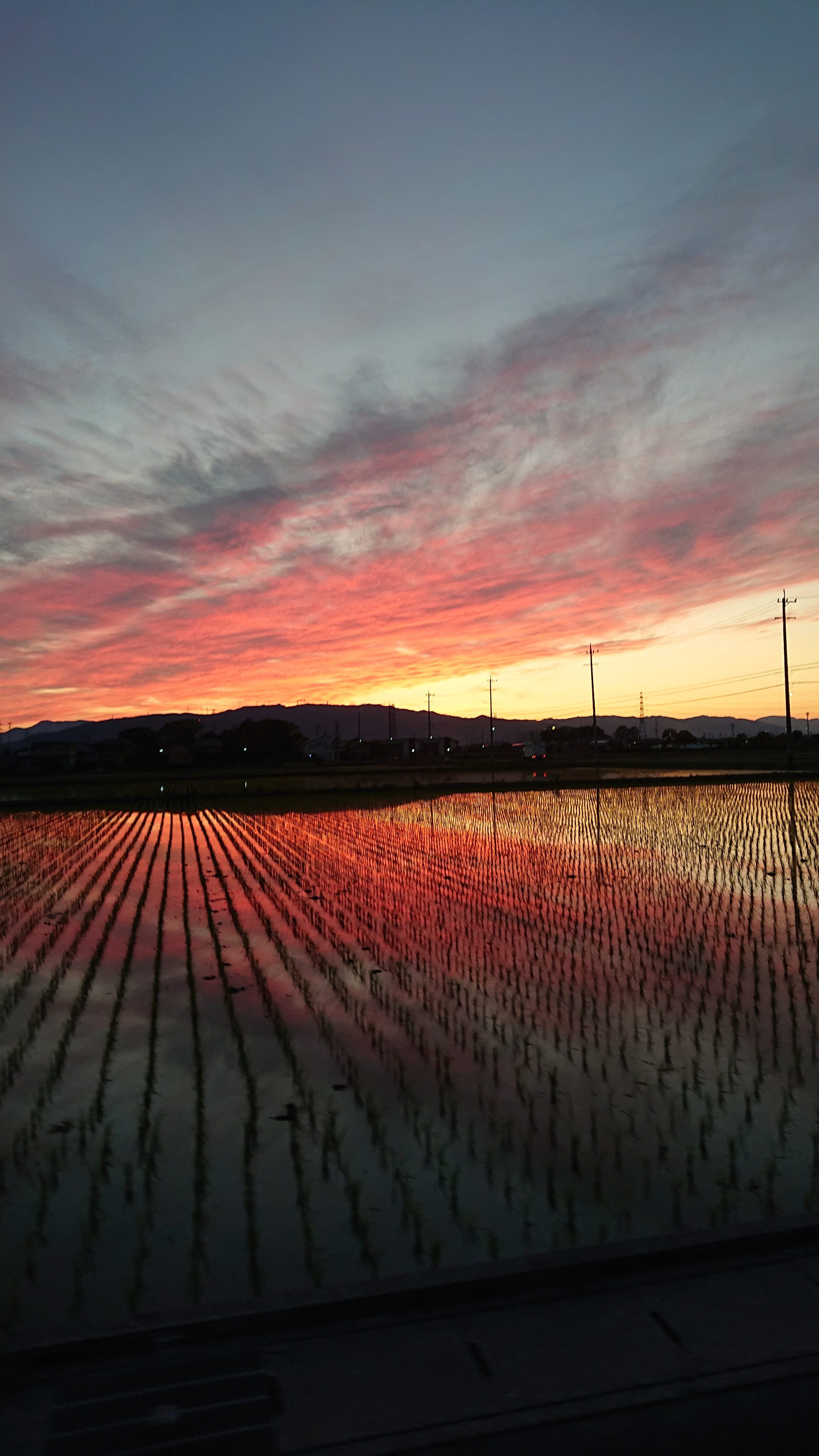 夕焼け