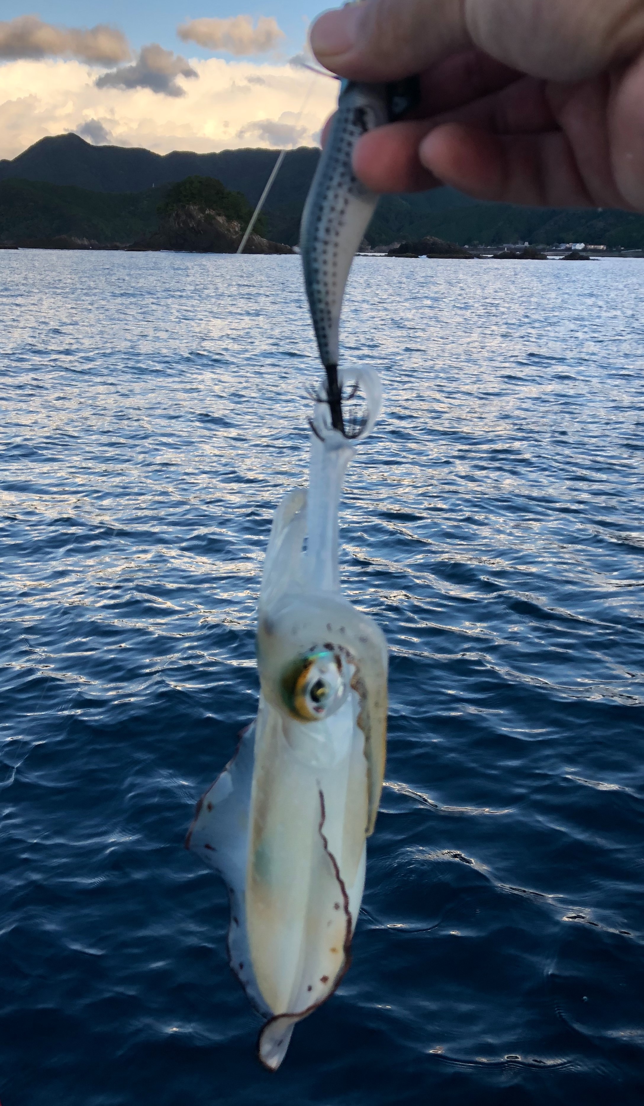 イカ釣り