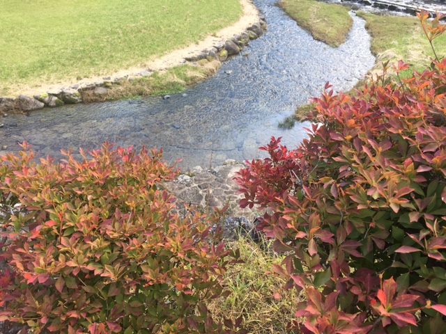 だんだん公園