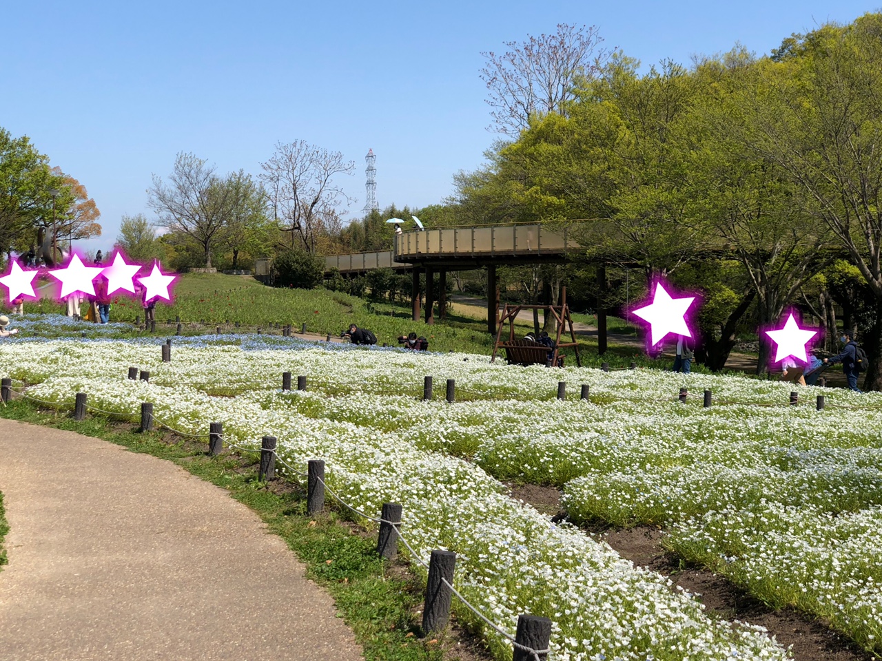 国営木曽三川公園138タワーパーク