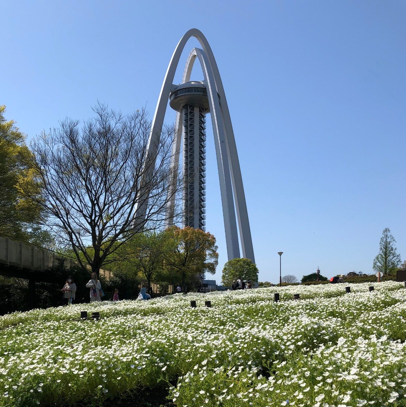 国営木曽三川公園138タワーパーク