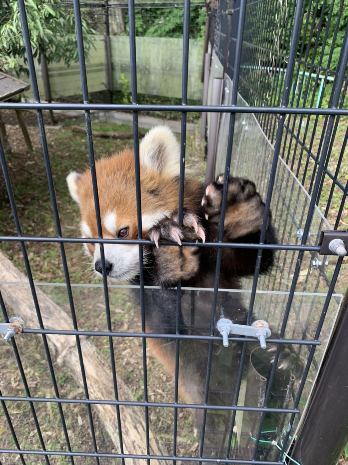 日本平動物園