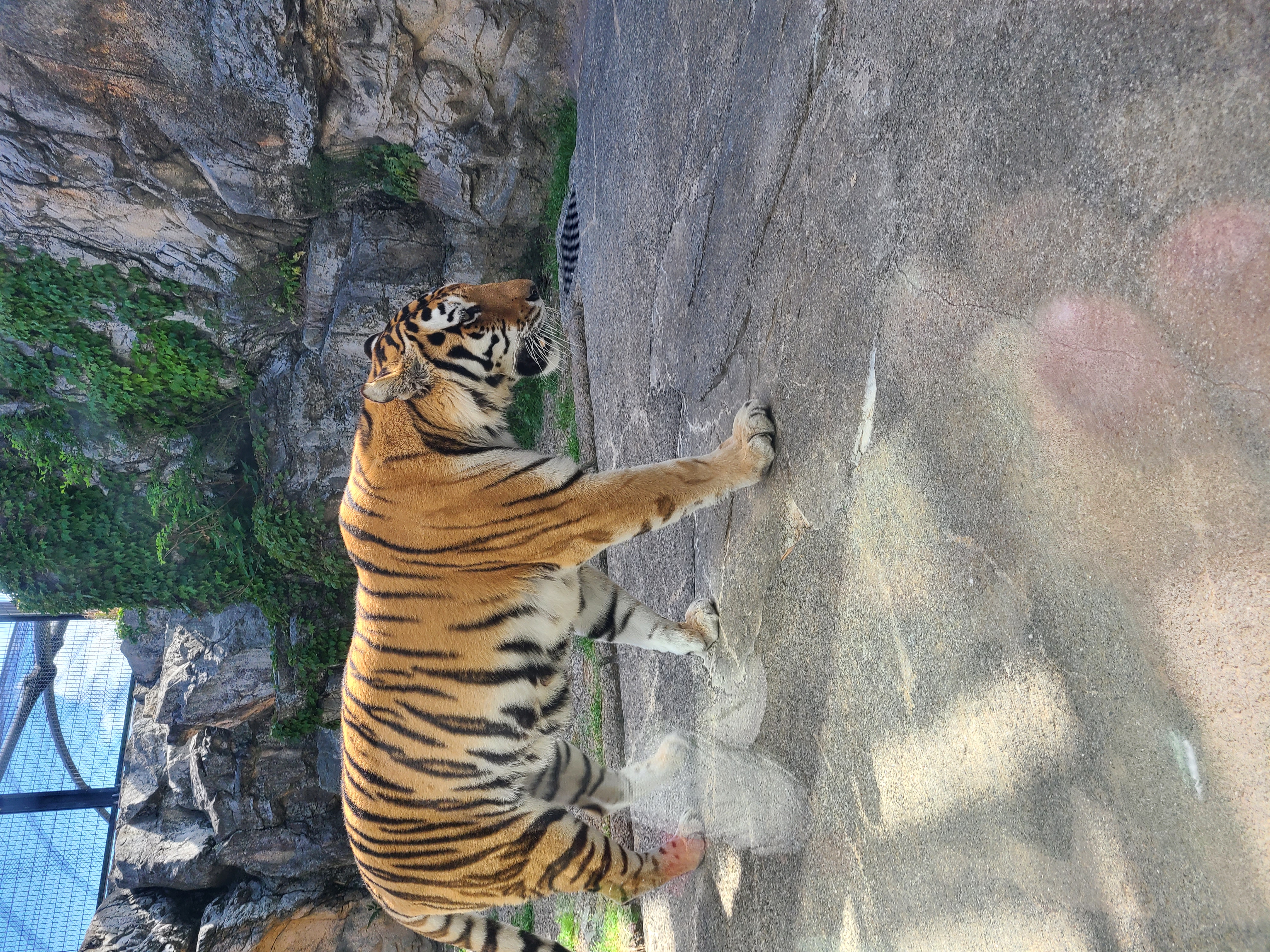 日本平動物園