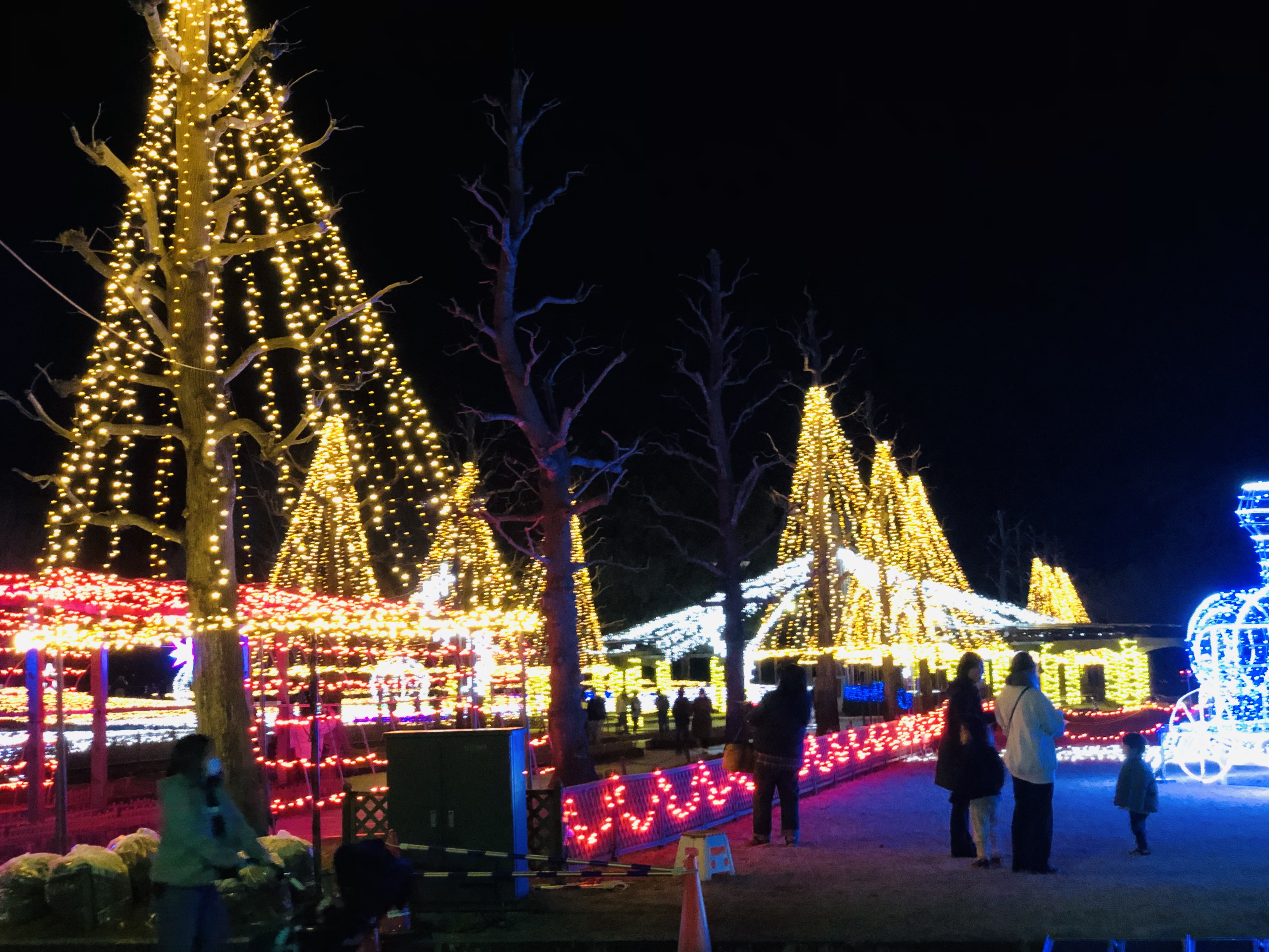 木曽三川公園センターイルミネーション