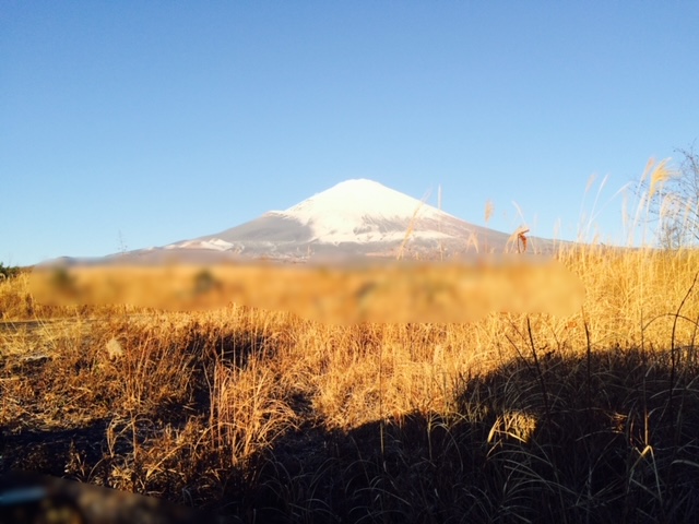 富士山