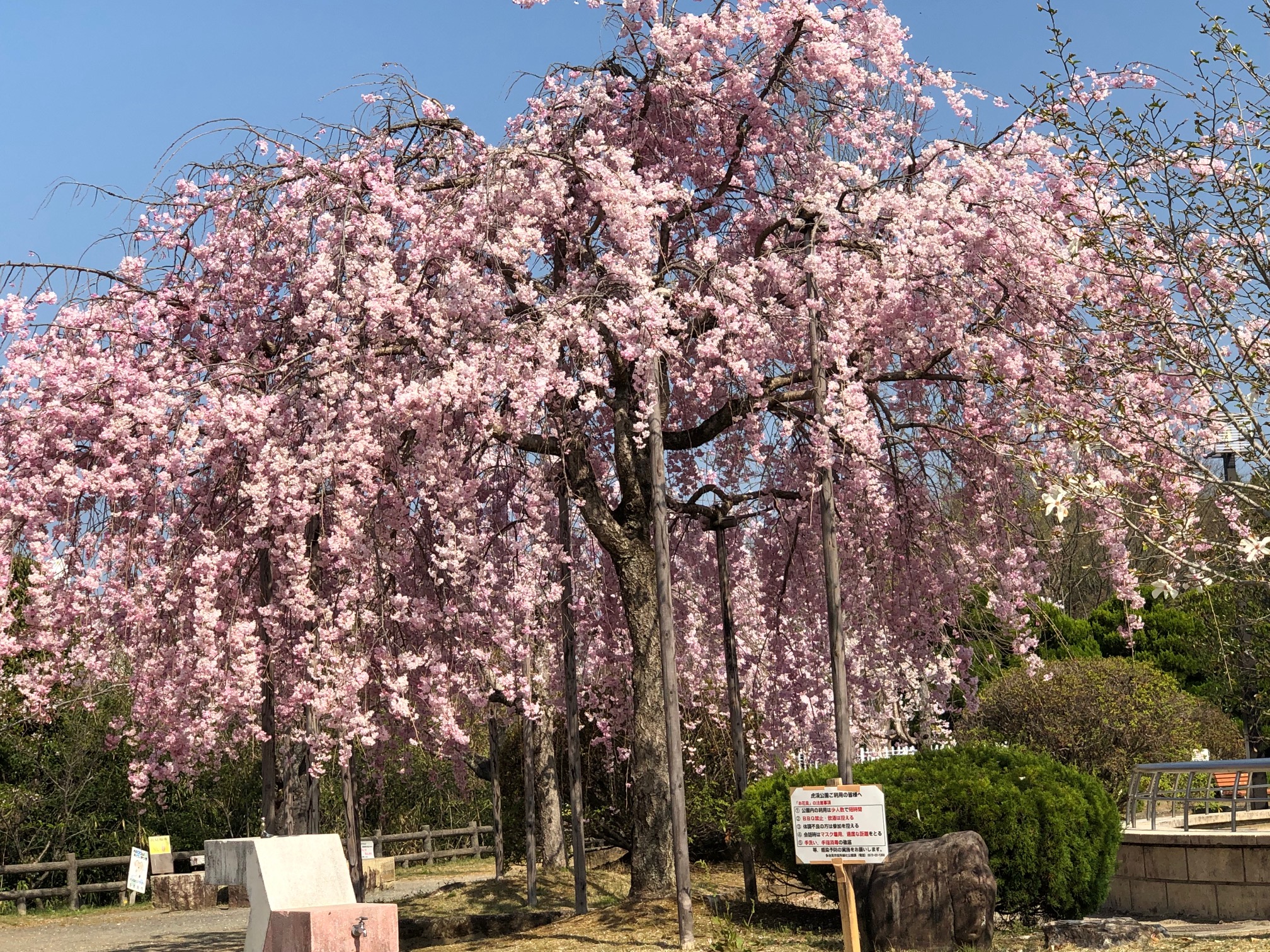 虎渓公園