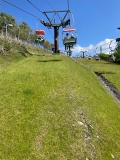 茶臼山高原芝桜祭り