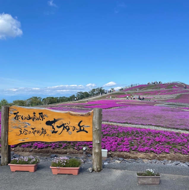 茶臼山高原芝桜祭り