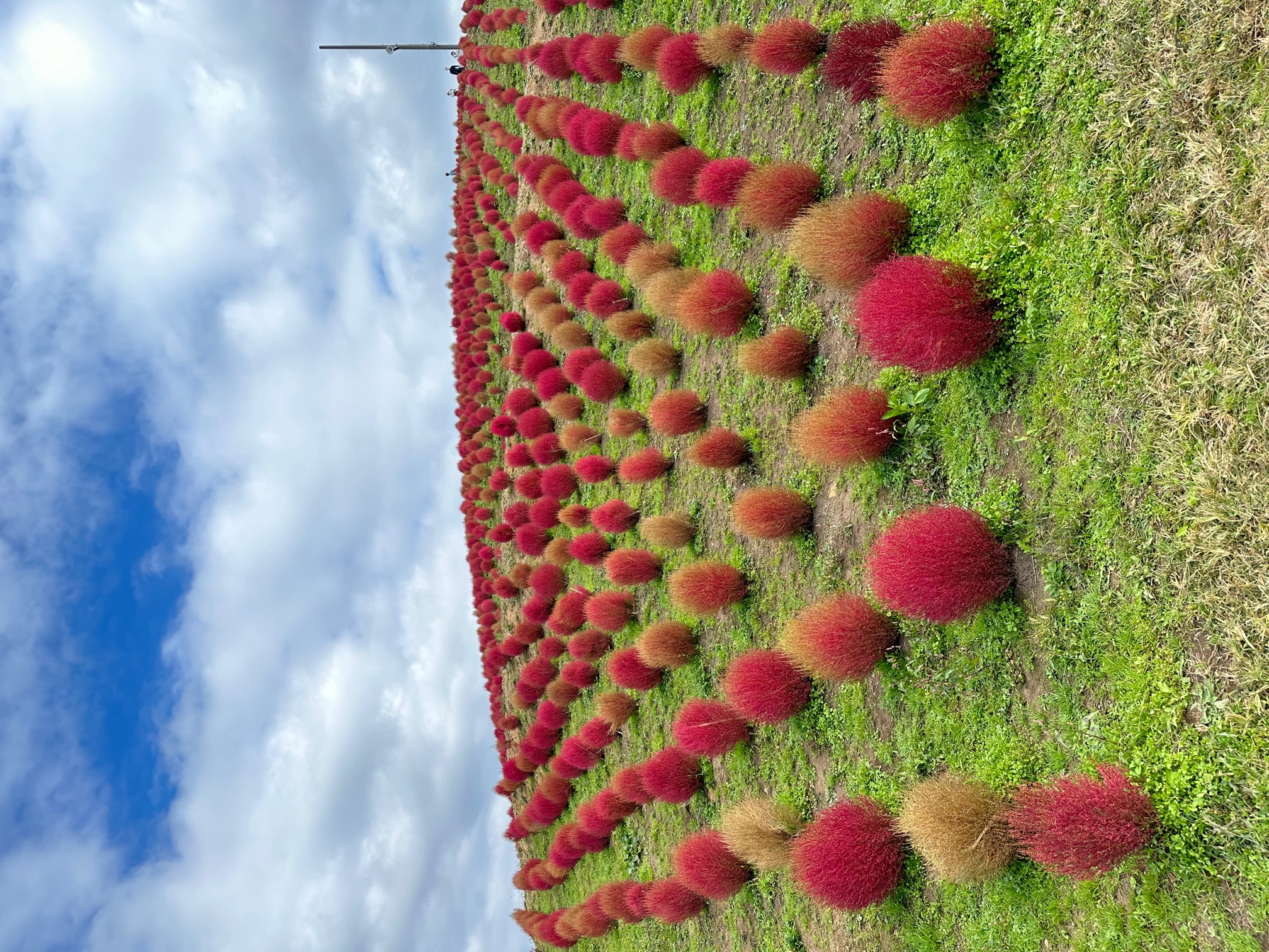 びわこ箱館山